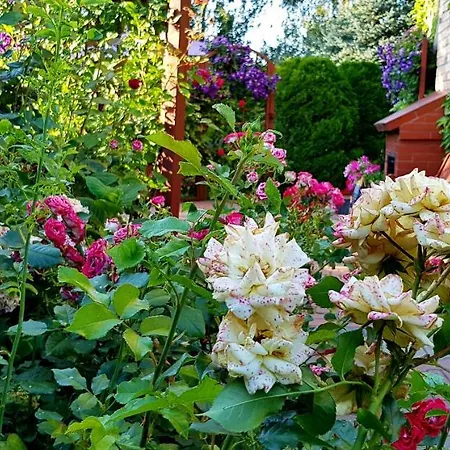 Nostalgia - W Cenie Rowery, Parking, Sauna