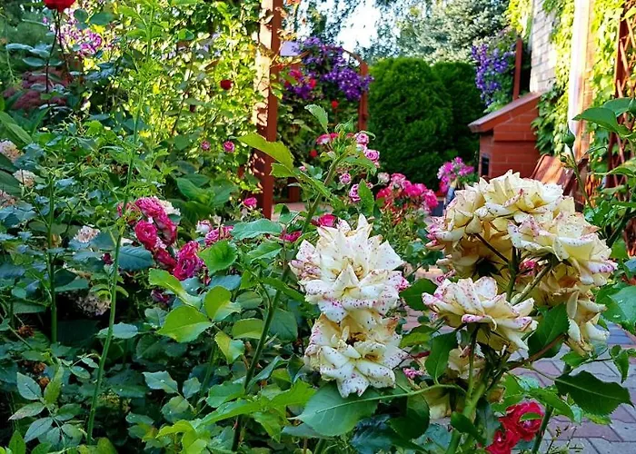 Nostalgia - W Cenie Rowery, Parking, Sauna