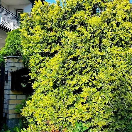 Nostalgia - W Cenie Rowery, Parking, Sauna Ubytování v soukromí Kolobřeh