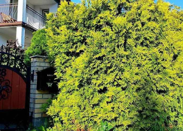 Nostalgia - W Cenie Rowery, Parking, Sauna בית אירוח קולובז'ג